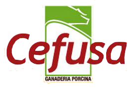05_Cefusa